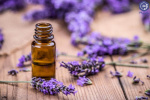 سنجش اثر آنتی‌اکسیدانی و ضد‌سرطانی اسطوخودوس و بادرنجبویه بر روی رده سلولی سرطان‌های پستان، رحم و تخمدان