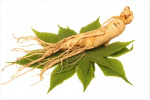 مروری برنقش مصرف جین سینگ خوراکی در کاهش اختلالات نعوظی و خستگی در بیماران مبتلا به سرطان پروستات