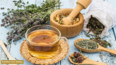 اثرات اسانس مریم گلی (Salvia officinalis) بر القاء آپوپتوز در سلول های سرطان تخمدان رده ی SKOV۳