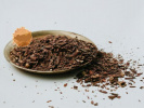 تأثیر عصاره جفت بلوط(Quercus brantii) و ترکیب آن با سیس پلاتین بر روی رده سلولی AGS سرطان معده