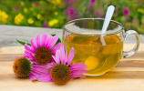 بررسی اثرات ضدسرطانی عصاره‌ی گیاه سرخارگل (Echinacea Purpurea) بر سلول‌های متاستاتیک ریوی در سرطان سینه