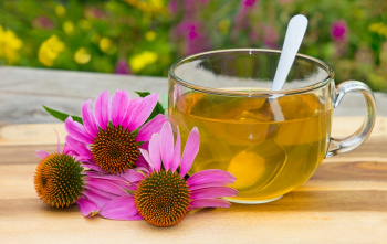 بررسی اثرات ضدسرطانی عصارهی گیاه سرخارگل (Echinacea Purpurea) بر سلولهای متاستاتیک ریوی در سرطان سینه